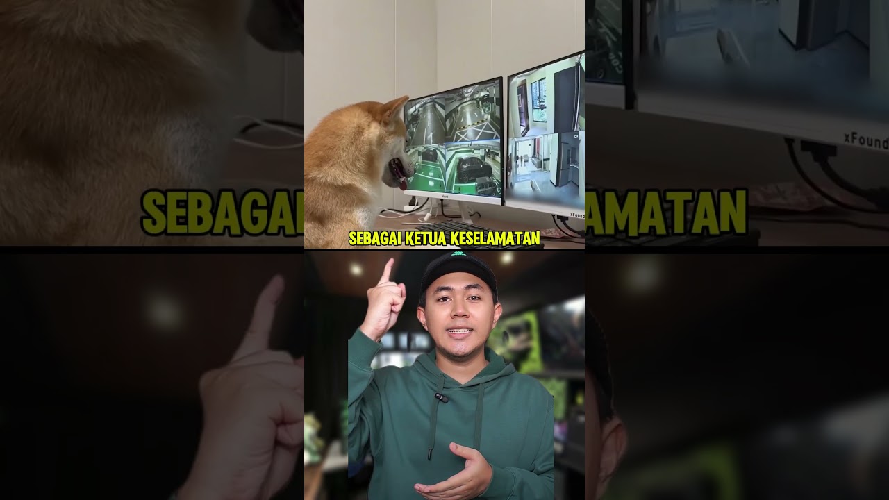 Lelaki Ini Habiskan 2 Tahun Bina Bandar Untuk Kucingnya! 😱
