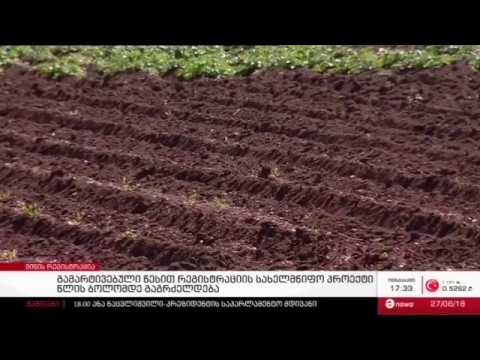 რატი   კოჭლამაზაშვილი - მიწის გამარტივებული რეგისტრაცია