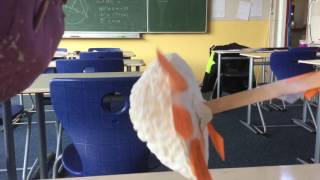 Bnw project hersenen