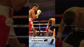 EMILIANO VARGAS LEFT HOOK KO #boxing #proboxer #boxingknockout #boxingday