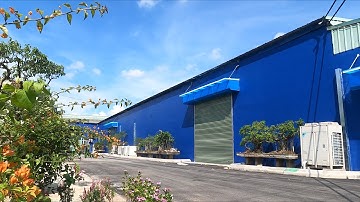 Theo chân đại lý về nhà máy sữa bột Gafo khảo sát và nhập trực tiếp sản phẩm chất lượng