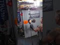 my covid invention timing and precision boxing basics