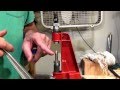 PISTOL DIE SETUP ON A SINGLE STAGE PRESS - HD