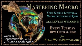 Mastering Macro Photography - Week 5 - 9/13/22