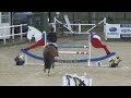 Chepstow International CSI2* - Day 3 - Class 16 CSIYH1* 5 Year Old Grand Prix