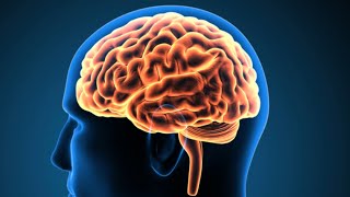 Does Data Centers Use Human Brains