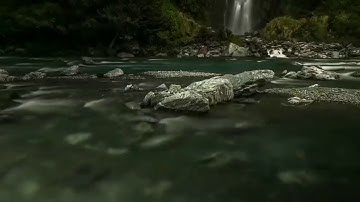 مَّا لَكُمْ لا تَرْجُونَ لِلَّهِ وَقَارًا - تلاوه جميلة من سوره نوح