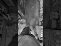 👉 Amazing Daily Vlog Tips 🔥 | Grow Fast on YouTube #shorts