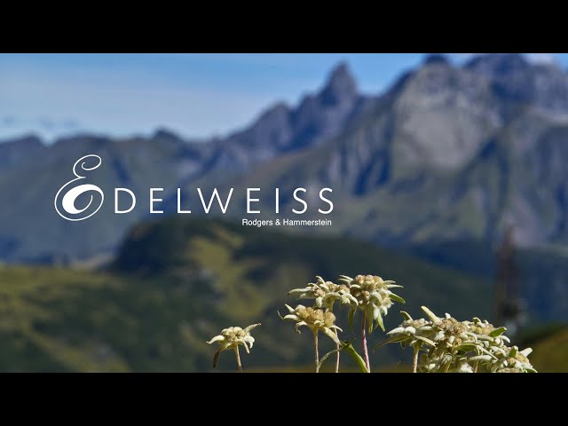 Edelweiss (Rodgers u0026 Hammerstein) from The Sound of Music - A CHOIRANTINE Tribute class=