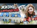 УЕХАЛА В ДЕРЕВНЮ | КАК ЖИВУТ В ИРЛАНДСКОЙ ДЕРЕВНЕ? | жизнь в Ирландии | АЛЬПАКИ