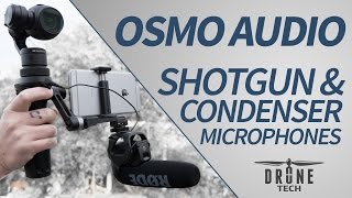 DJI OSMO: Audio Test: Shotgun & Condenser Microphones: Rode, Sennheiser, Sony, Movo DJI OSMO: Audio Test: Shotgun & Condenser Microphones: Rode, Sennheiser, Sony, Movo