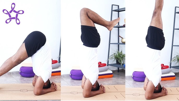 Iyengar Yoga Props  Yoga Blocks - Yogikuti