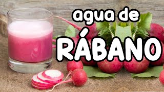 Recreando la receta del Agua de Rábano - Agua de rabanito - Cómo hacer agua de rábano