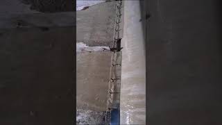 Drum type oil skimmer hatcomahesh@gmail.com