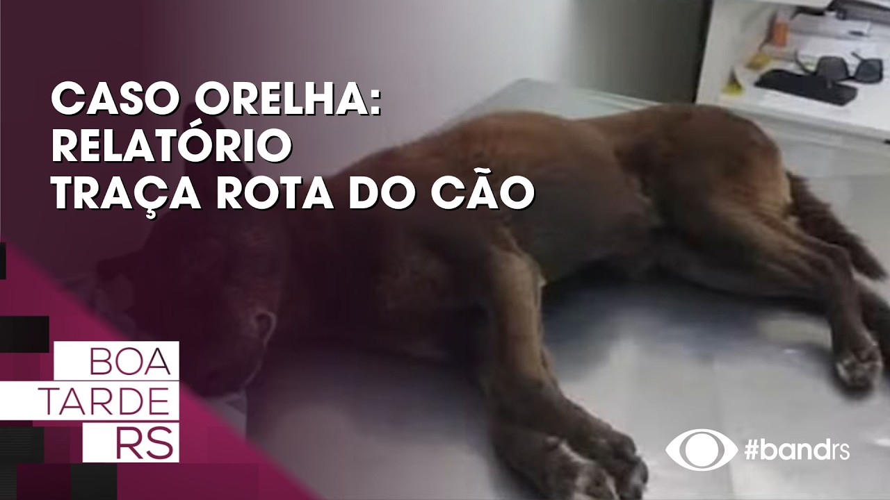 Caso Orelha: Relatório traça rota do cão
