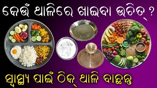 Choosing the Right Plate for Your Health: An In-Depth Guide//କେଉଁ ଥାଳି ରେ ଖାଇବା ଉଚିତ୍//Binod-mixlear