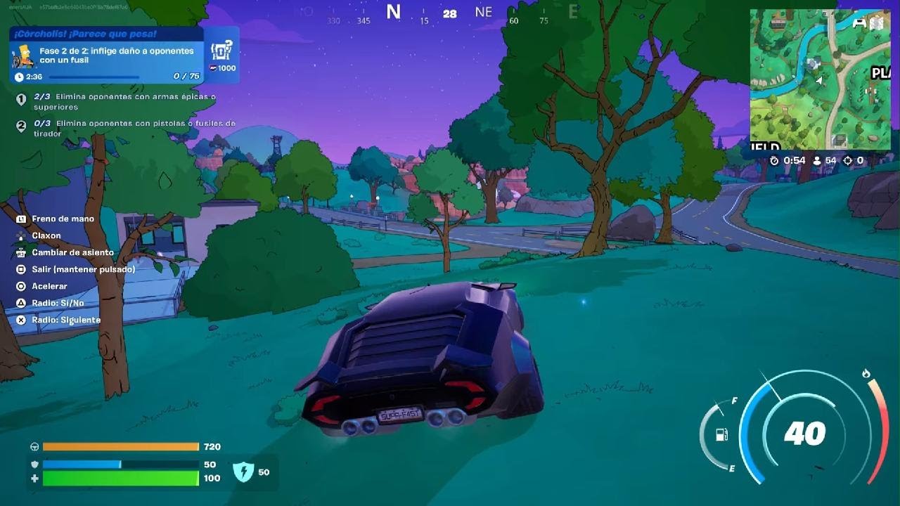 Fortnite_2025victoria