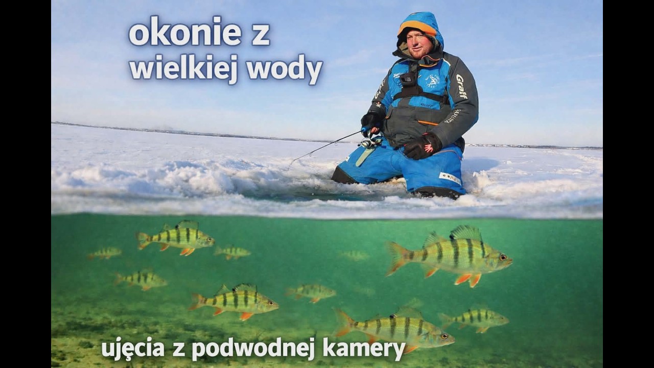 OKONIE Z WIELKIEGO JEZIORA. + Ujęcia z podwodnej kamery