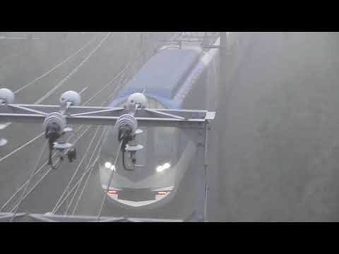 濃霧の中止まらず進むしまかぜ