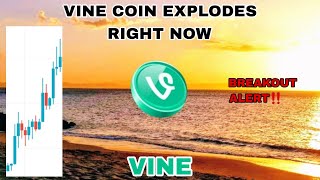 VINE COIN EXPLODES UPDATE IN JULY 2025‼️ VINE CRYPTO ABOUT TO BREAKOUT‼️ TODAY TOP GAINER CRYPTO