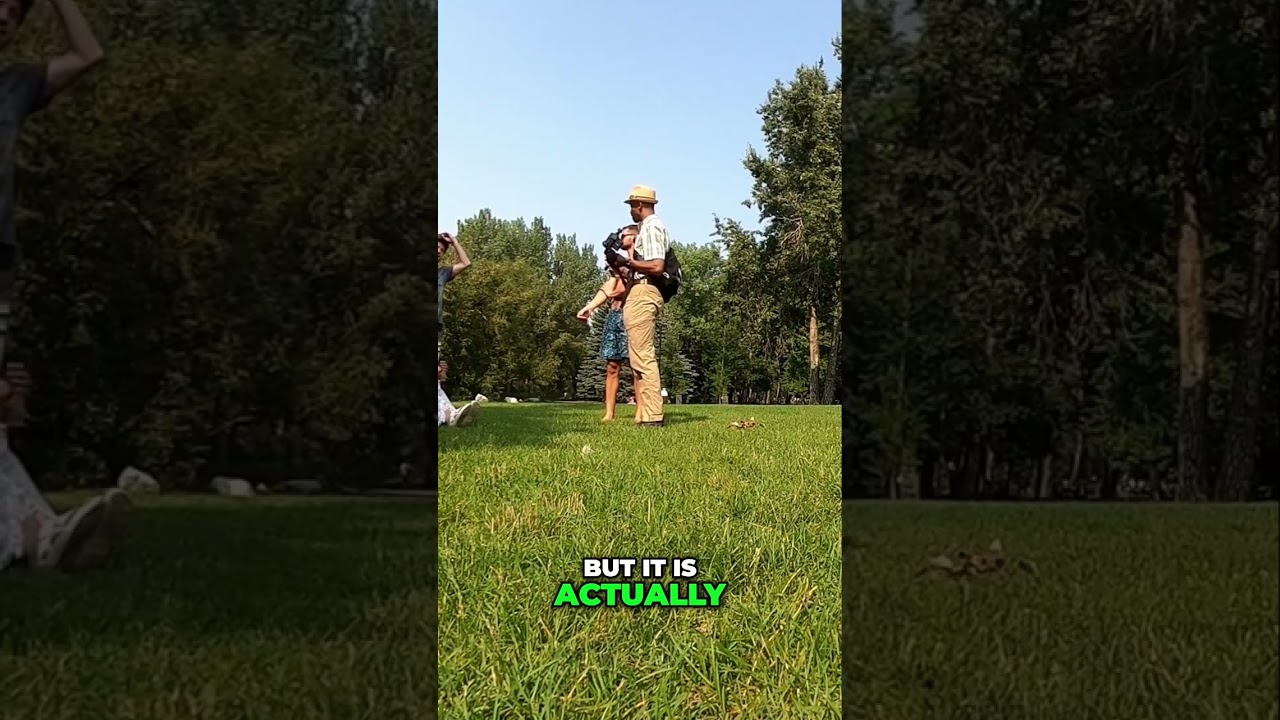 Exploring Aragon: The Untold Backstory of His Evolution