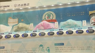 マスクをひんやり販売　人気色はホワイトやライトブルーにアイボリー　岡山・三井アウトレットパーク倉敷
