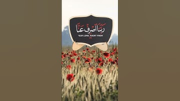 #تلاوات #آيات #القرآن_الكريم #قرآن #تلاوة #قران_كريم #تلاوات_خاشعة #قران #تلاوة_خاشعة #القرآن #quran