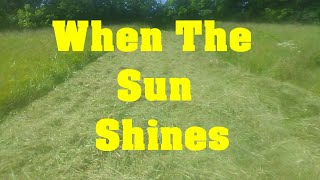 Can You Cut HAY With a BRUSH HOG (Bush Hog / Rotary Cutter) Homesteading 101