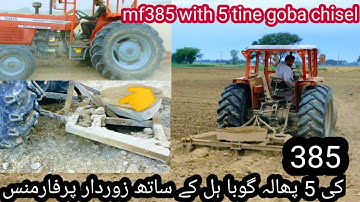 Mf 385 with 5 tine chisel powerful performance | Mf 385 goba chisel ka sath.