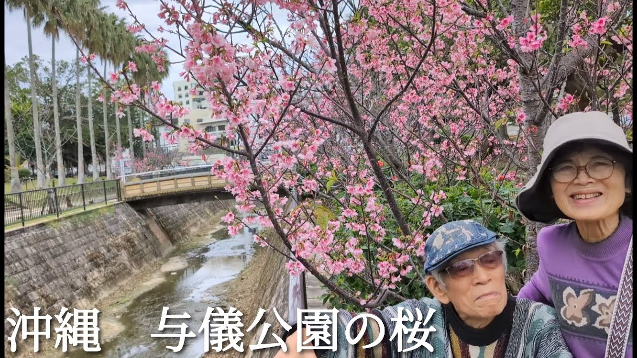 沖縄/与儀公園の桜〜沖縄の好きな食べ物など〜