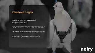 Птиц-Биодронов Представил Российский Разработчик Neiry. Голубь-Биодрон.