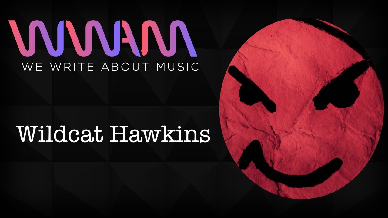 Wildcat Hawkins Delivers a Folk-Punk Gem with "Antithesis" - Interview