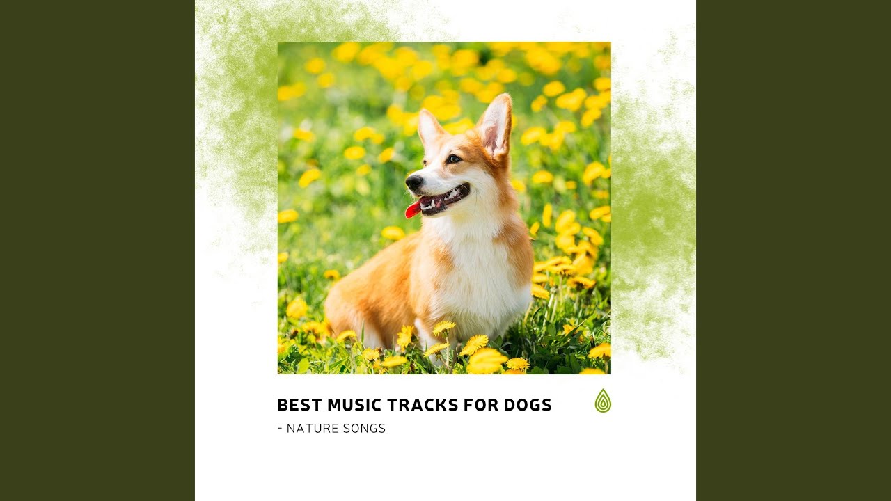 Sunny Wind Music for Hinduistic Qigong