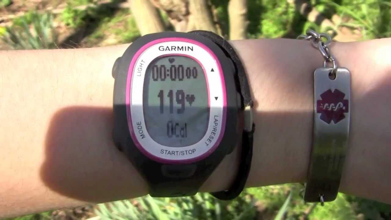 bird lady ds2 New Heart Rate Monitor Watch and POTsy Heart Rates!