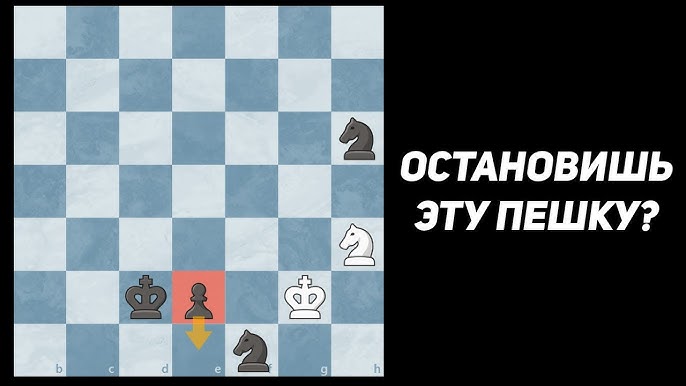 Uning mushukining suratini korsatdi Uning mushukining suratini korsatdi