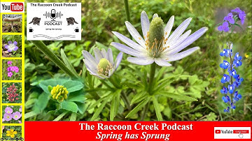 An Interview with Mother Nature - Spring has Sprung