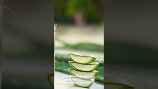 Unlock the Secret to Soothing Skin: Aloe Vera Magic