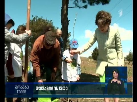 დედამიწის დღესთან დაკავშირებით, მახათას მთაზე გამწვანების აქცია გაიმართა