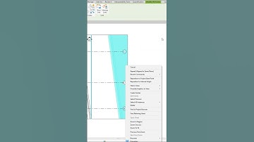 Revit Paste dropdown and select Align to Selected Levels and Find Referring View.