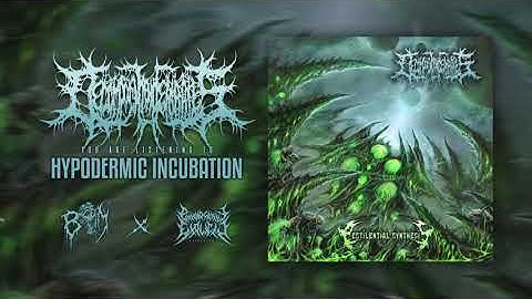 DECOMPOSITION OF ENTRAILS-Hypodermic Incubation | PATHOLOGICAL EXPLICIT Recs | BRUTAL MIND PROMOTION