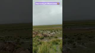 настоящая Монголия