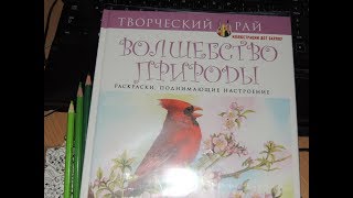 ОБЗОР РАСКРАСКИ АНТИСТРЕСС ВОЛШЕБСТВО ПРИРОДЫ ОБЗОР РАСКРАСКИ АНТИСТРЕСС ВОЛШЕБСТВО ПРИРОДЫ