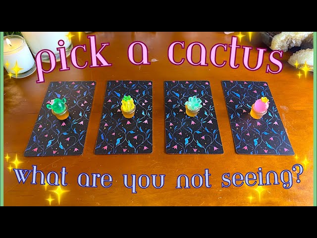 What You’re NOT SEEING 👁🌵✨ Detailed Pick a Card Tarot Reading