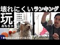 【壊れにくい犬のオモチャ】ランキングTOP３！ゴールデンドゥードルリミィのお気に入り玩具！