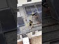 Elevador de escalera con batería TranzVolt | Ideal para techadores y trabajos solares #shorts