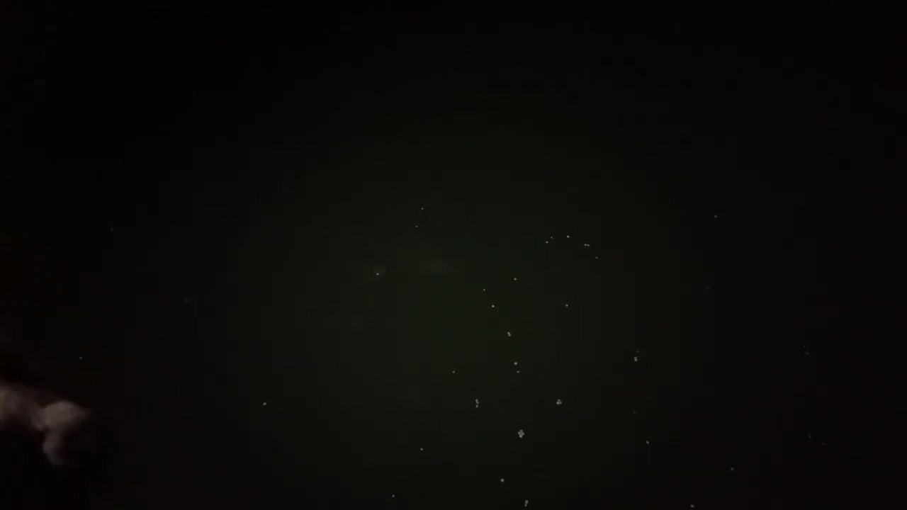 Rosco fishing on the boat.