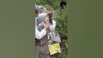 Đi câu cá, lên cá nè nha , #fishing  #diy #kinhdoanh