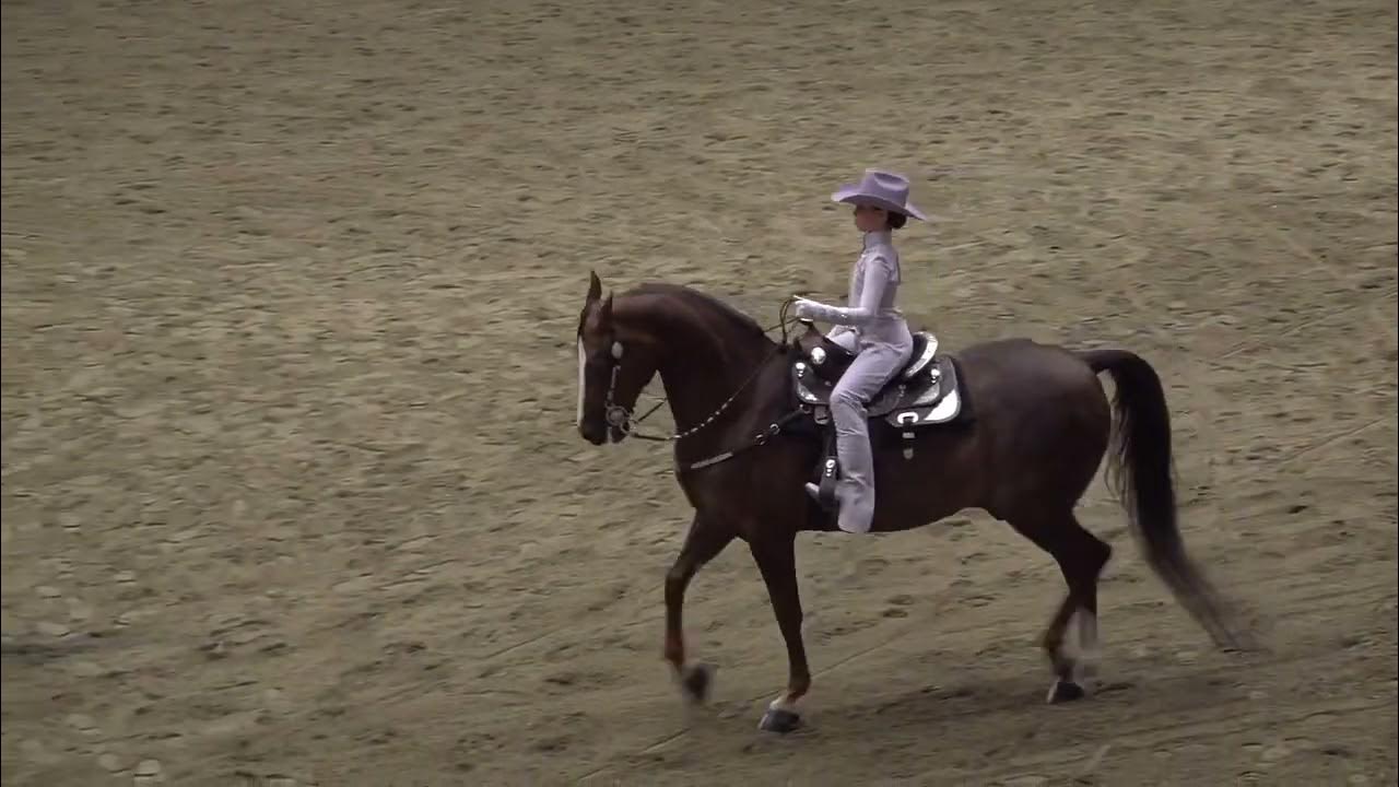 2023 Mass Horse Show Heidi’s WJ Western Seat Equitation 11
