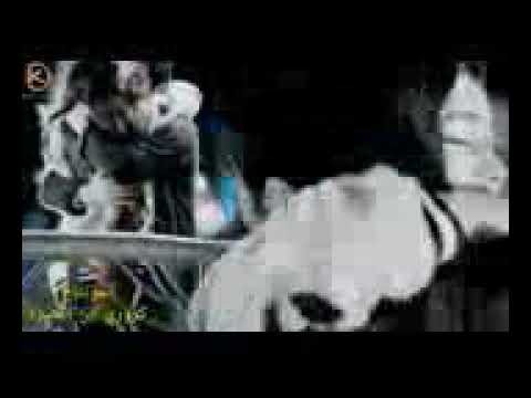 تدري شكد شتكيت