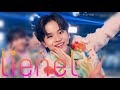 メロ・コレクション《Lienel》